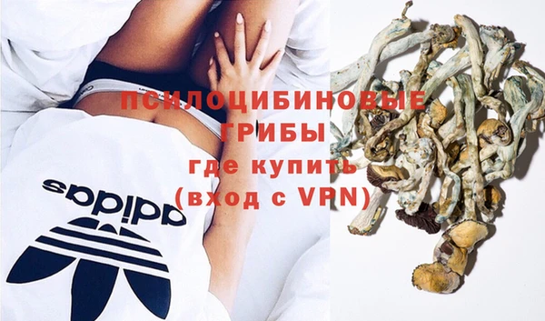 СК Липки