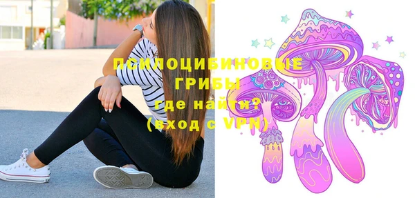 ГАЛЛЮЦИНОГЕННЫЕ ГРИБЫ Лиски
