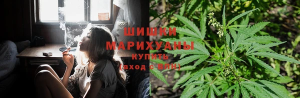 СК Липки
